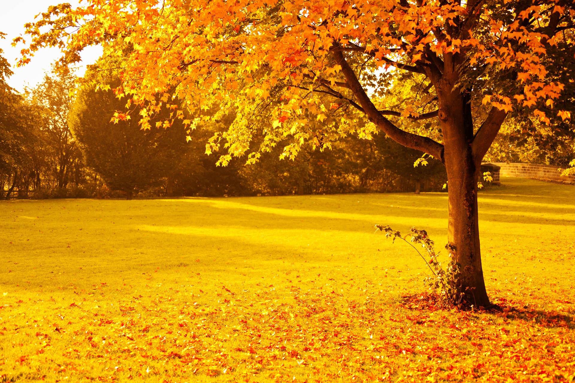 October Newsletter